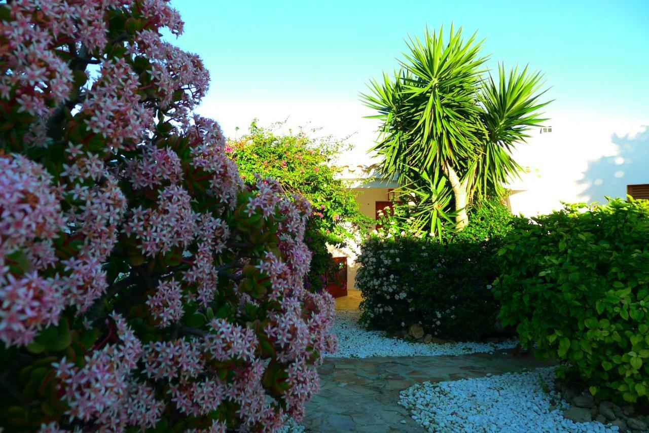Finca Du Ressourcement Higueron Apartment Vejer de la Frontera Exterior photo