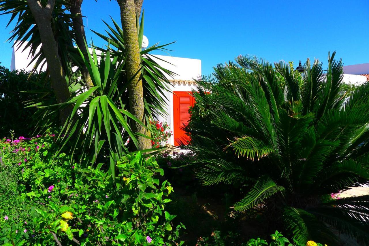 Finca Du Ressourcement Higueron Apartment Vejer de la Frontera Exterior photo